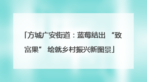 方城广安街道：蓝莓结出 “致富果” 绘就乡村振兴新图景
