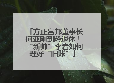 方正富邦董事长何亚刚到龄退休！“新帅”李岩如何理好“旧账”
