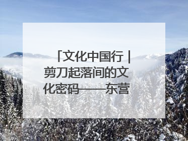 文化中国行｜剪刀起落间的文化密码——东营剪纸“剪”出非遗传承与现代生活的融合之道