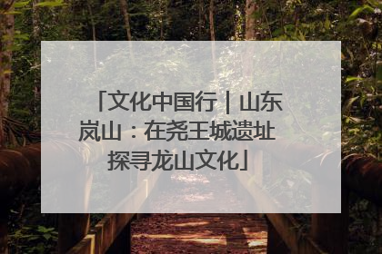 文化中国行｜山东岚山：在尧王城遗址探寻龙山文化