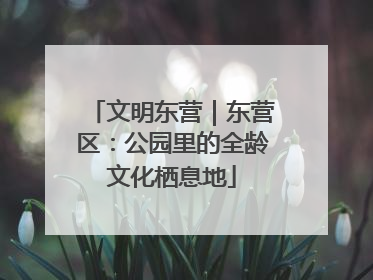 文明东营｜东营区：公园里的全龄文化栖息地