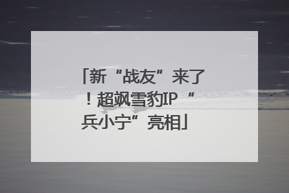 新“战友”来了！超飒雪豹IP“兵小宁”亮相