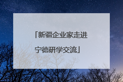新疆企业家走进宁德研学交流