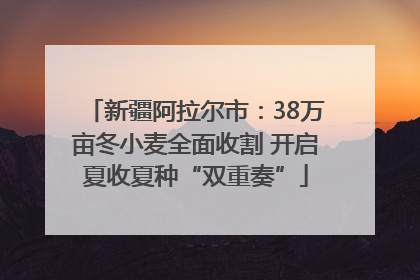 新疆阿拉尔市：38万亩冬小麦全面收割 开启夏收夏种“双重奏”