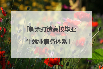 新余打造高校毕业生就业服务体系
