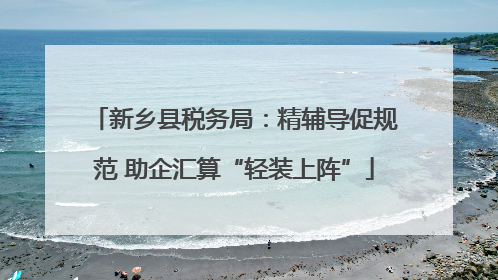 新乡县税务局：精辅导促规范 助企汇算“轻装上阵”