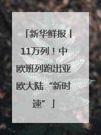 新华鲜报丨11万列！中欧班列跑出亚欧大陆“新时速”