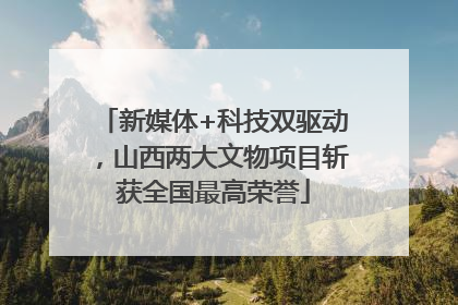 新媒体+科技双驱动，山西两大文物项目斩获全国最高荣誉