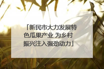 新民市大力发展特色瓜果产业 为乡村振兴注入强劲动力