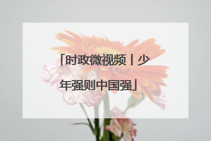 时政微视频丨少年强则中国强