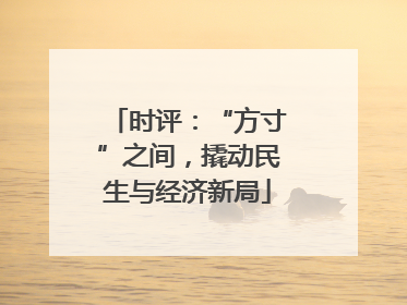 时评：“方寸”之间，撬动民生与经济新局