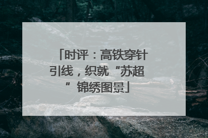 时评：高铁穿针引线，织就“苏超”锦绣图景