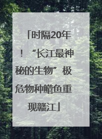 时隔20年！“长江最神秘的生物”极危物种鳤鱼重现赣江