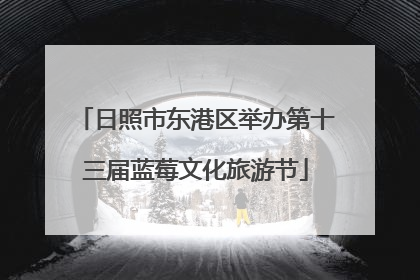 日照市东港区举办第十三届蓝莓文化旅游节