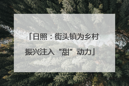 日照：街头镇为乡村振兴注入“甜”动力