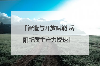 智造与开放赋能 岳阳新质生产力提速