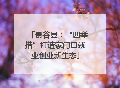 景谷县：“四举措”打造家门口就业创业新生态
