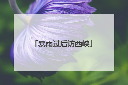 暴雨过后访西峡