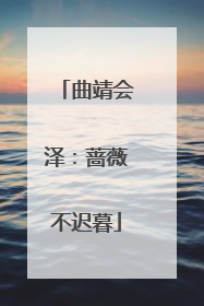 曲靖会泽：蔷薇不迟暮