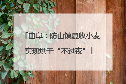 曲阜：防山镇夏收小麦实现烘干“不过夜”