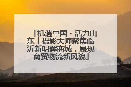 机遇中国・活力山东丨摄影大师聚焦临沂新明辉商城，展现商贸物流新风貌