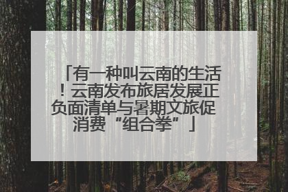 有一种叫云南的生活！云南发布旅居发展正负面清单与暑期文旅促消费“组合拳”