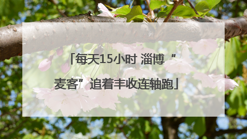 每天15小时 淄博“麦客”追着丰收连轴跑