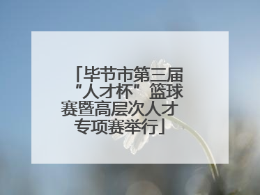 毕节市第三届“人才杯”篮球赛暨高层次人才专项赛举行