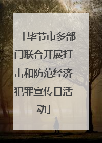 毕节市多部门联合开展打击和防范经济犯罪宣传日活动