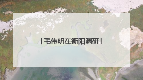 毛伟明在衡阳调研