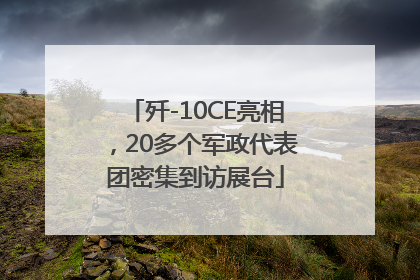 歼-10CE亮相，20多个军政代表团密集到访展台