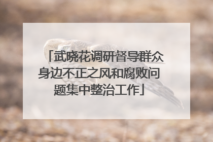 武晓花调研督导群众身边不正之风和腐败问题集中整治工作