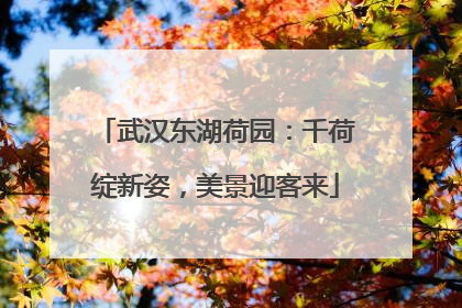 武汉东湖荷园：千荷绽新姿，美景迎客来