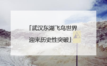 武汉东湖飞鸟世界迎来历史性突破