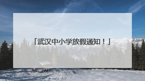 武汉中小学放假通知！