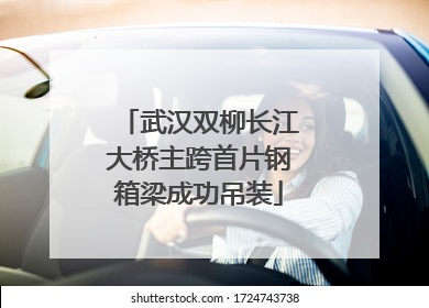 武汉双柳长江大桥主跨首片钢箱梁成功吊装