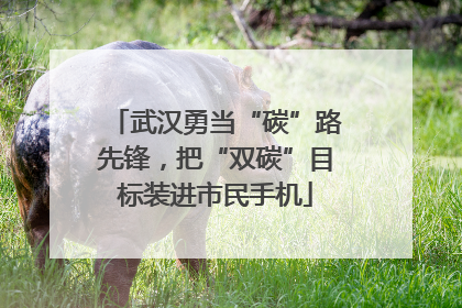 武汉勇当“碳”路先锋，把“双碳”目标装进市民手机