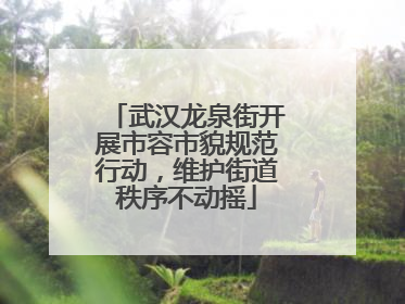 武汉龙泉街开展市容市貌规范行动，维护街道秩序不动摇
