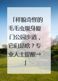 样貌奇怪的毛毛虫现身厦门公园步道，它们是啥？专业人士提醒→