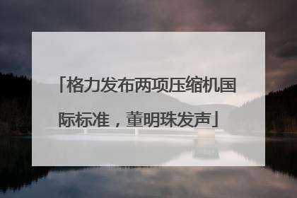 格力发布两项压缩机国际标准，董明珠发声