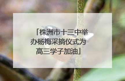 株洲市十三中举办杨梅采摘仪式为高三学子加油