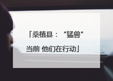 桑植县：“猛兽”当前 他们在行动