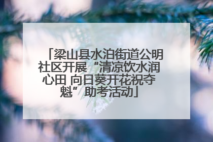 梁山县水泊街道公明社区开展“清凉饮水润心田 向日葵开花祝夺魁”助考活动