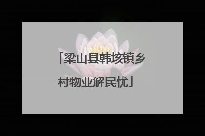梁山县韩垓镇乡村物业解民忧