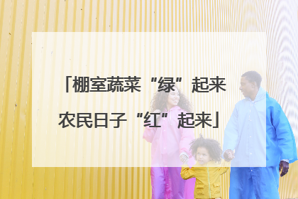 棚室蔬菜“绿”起来 农民日子“红”起来