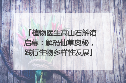 植物医生高山石斛馆启幕：解码仙草奥秘，践行生物多样性发展