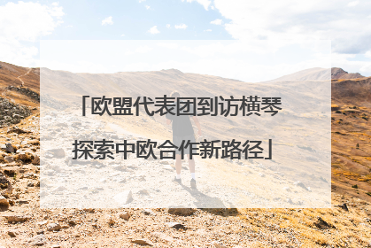 欧盟代表团到访横琴 探索中欧合作新路径
