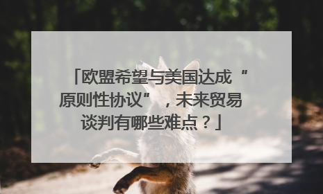 欧盟希望与美国达成“原则性协议”，未来贸易谈判有哪些难点？
