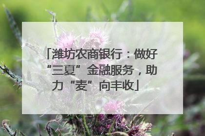 潍坊农商银行：做好“三夏”金融服务，助力“麦”向丰收