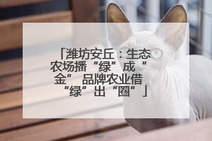 潍坊安丘：生态农场播“绿”成“金” 品牌农业借“绿”出“圈”